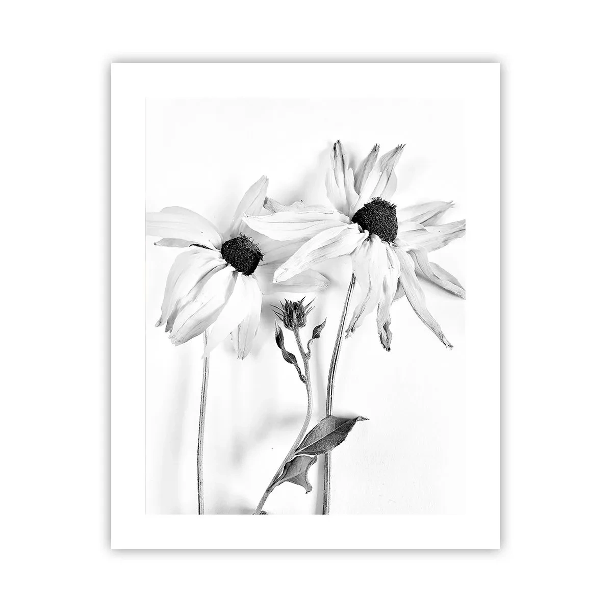 Poster - Nessuno vuole essere solo - 40x50 cm