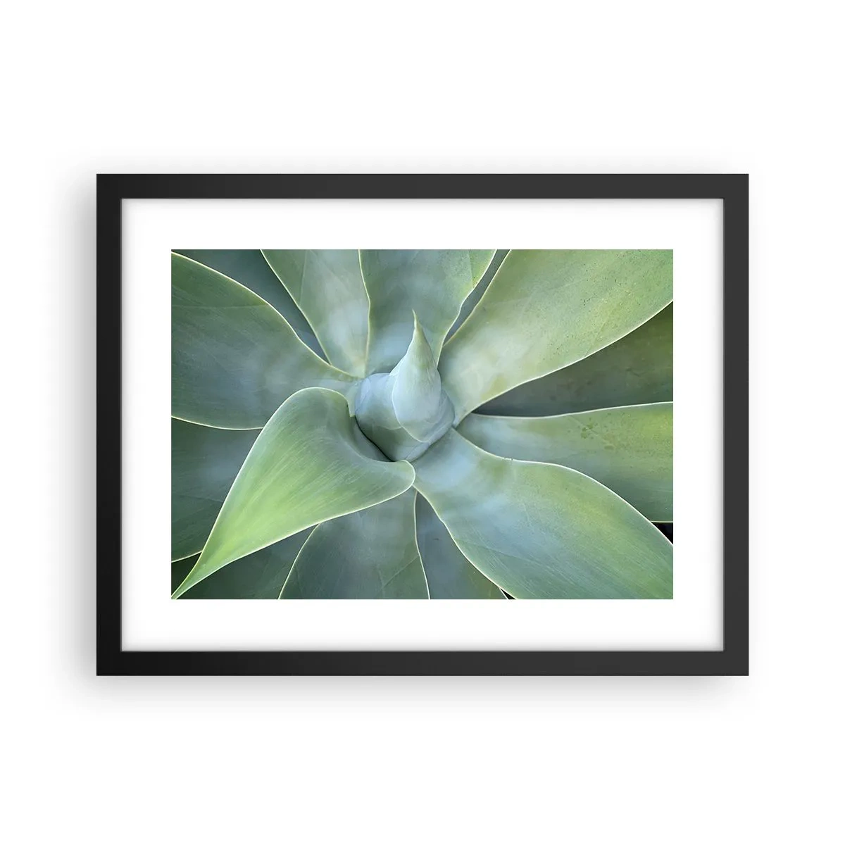 Poster in cornice nera - La nascita del verde - 40x30 cm