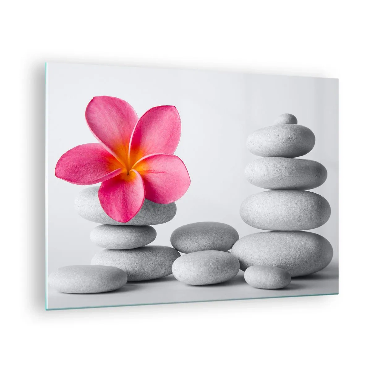 Quadro su vetro - Un fiore rosa contro un mucchio di pietre bianche - 70x50cm - Pietra su pietra, e su questa pietra... - Decorazione murale moderna per soggiorno e camera da letto ARTTOR