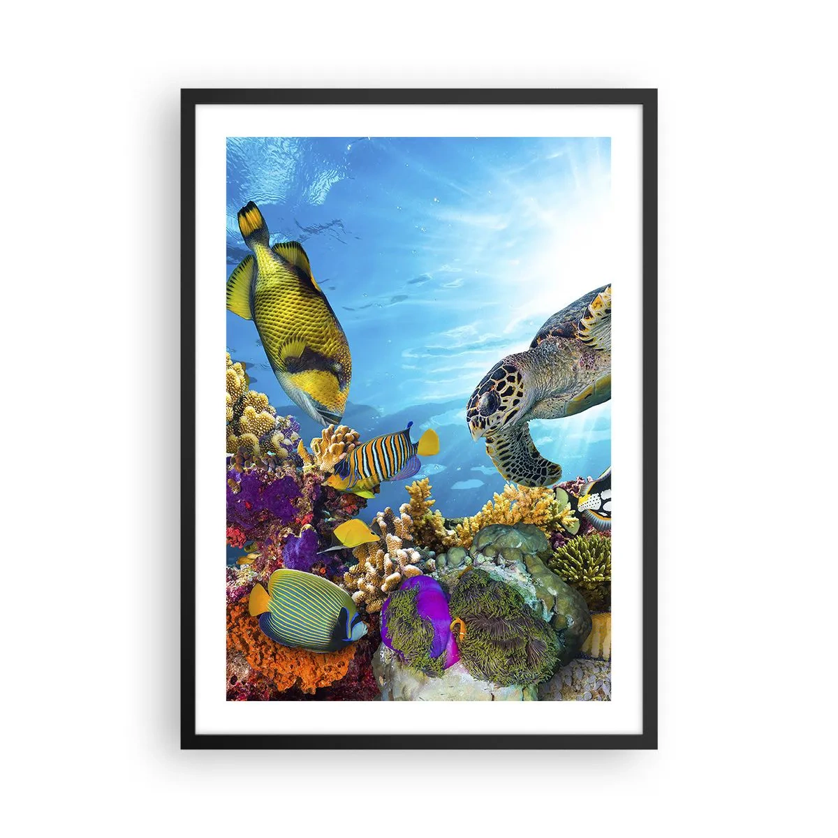 Poster in cornice nera - Passeggiata corallina - 50x70 cm