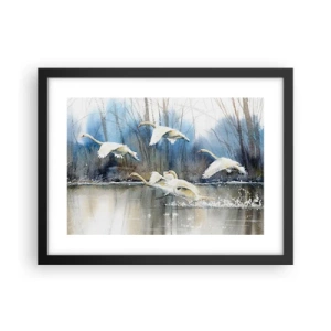Poster in cornice nera - Come la favola dei cigni selvatici - 40x30 cm