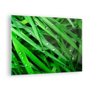 Quadro su vetro - Fili d'erba verdi con gocce di rugiada - 70x50cm - Giocando con il verde - Decorazione murale moderna per soggiorno e camera da letto ARTTOR