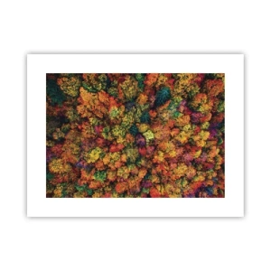 Poster - Il bouquet degli alberi d'autunno - 40x30 cm