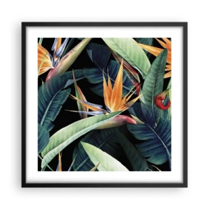 Poster in cornice nera - I fiori fiammeggianti dei tropici - 50x50 cm