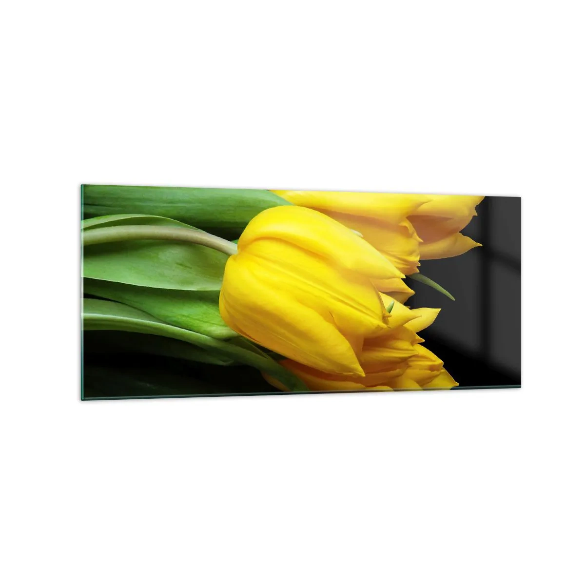 Quadro su vetro - Un mazzo di tulipani gialli su sfondo nero - 120x50cm - Fatti di puro sole - Decorazione murale moderna per soggiorno e camera da letto ARTTOR