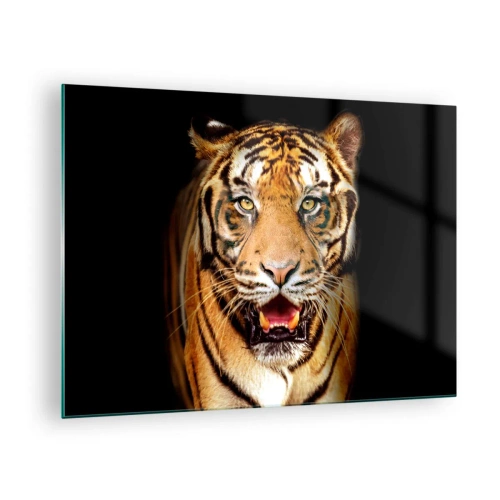 Quadro su vetro - Una tigre su uno sfondo scuro con uno sguardo intenso - 70x50cm - Cuore selvatico - Decorazione murale moderna per soggiorno e camera da letto ARTTOR