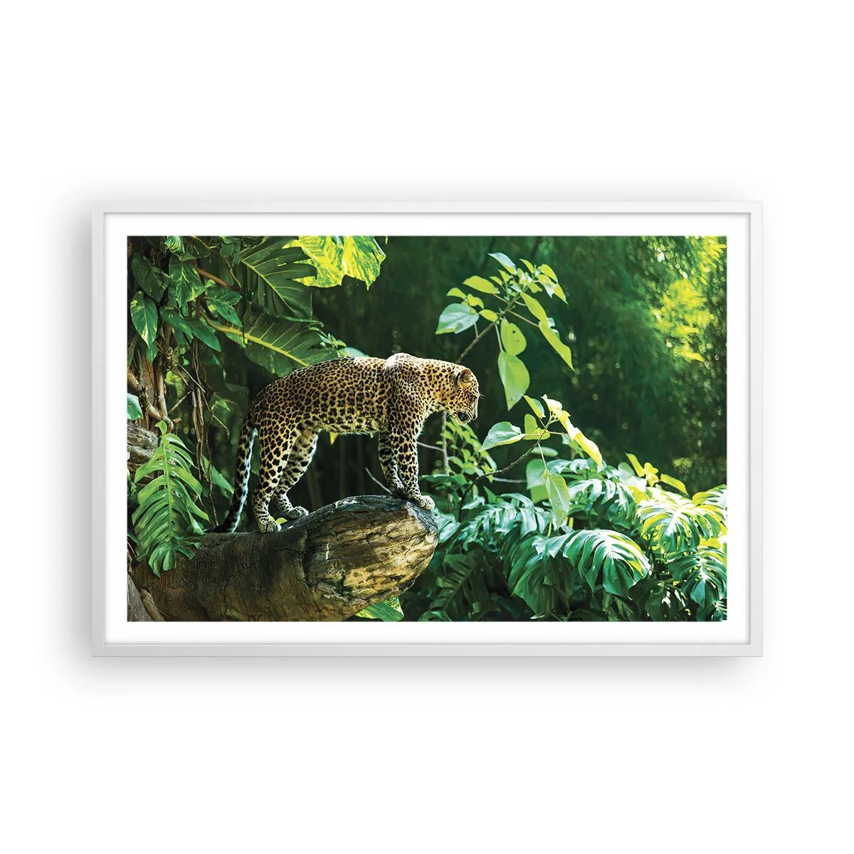 Poster in cornice bianca - A caccia? - 91x61 cm
