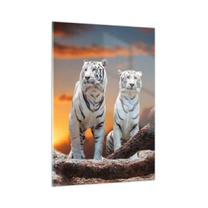 Quadro su vetro - Tigri bianche contro il sole al tramonto - 50x70cm - Proprio come a Narnia - Decorazione murale moderna per soggiorno e camera da letto ARTTOR