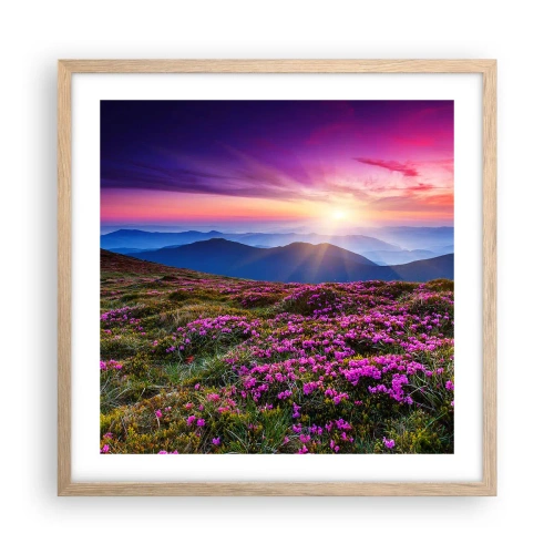 Poster in cornice rovere chiaro - Il profumo dei fiori freschi del campo - 50x50 cm