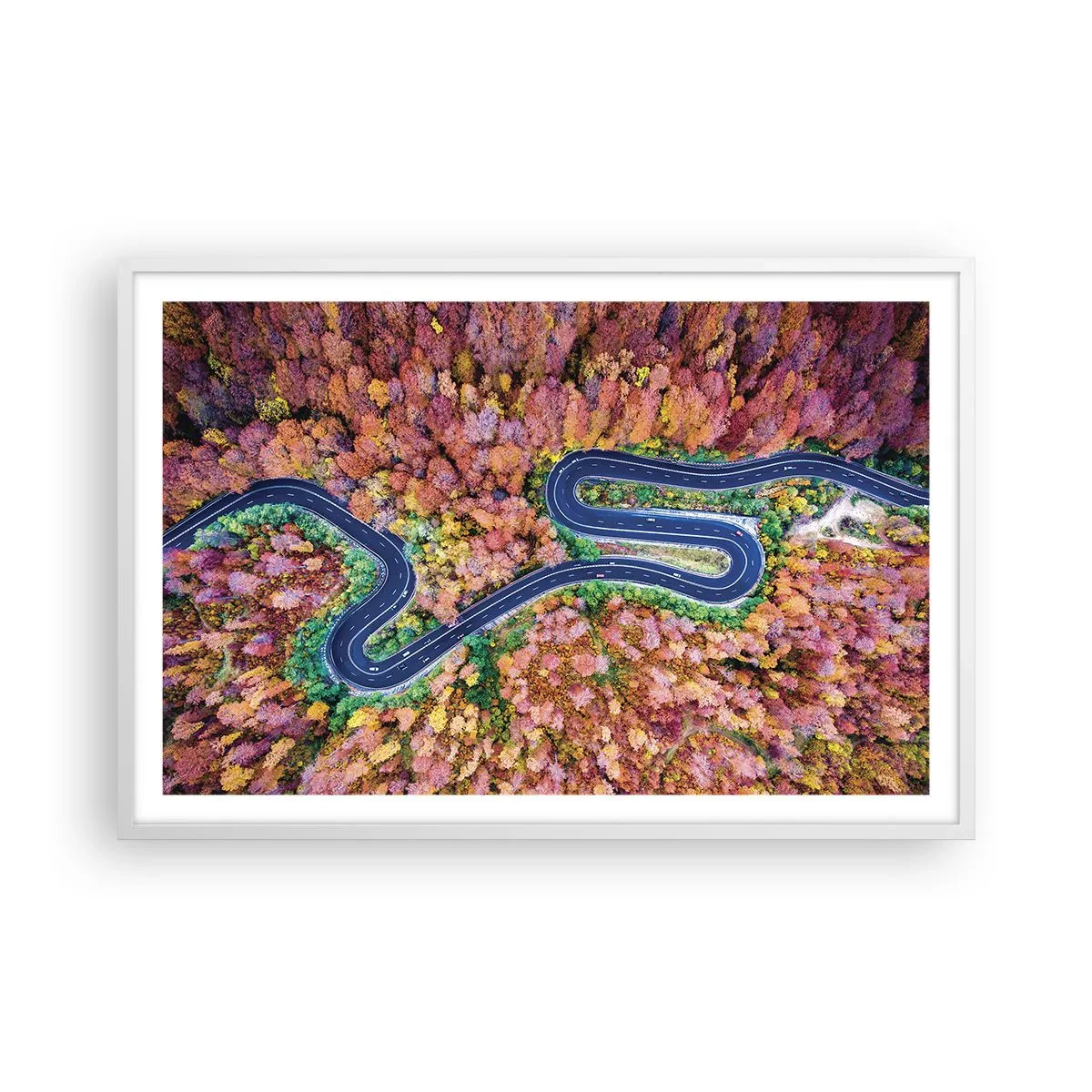 Poster in cornice bianca - Via tortuosa attraverso il bosco - 91x61 cm