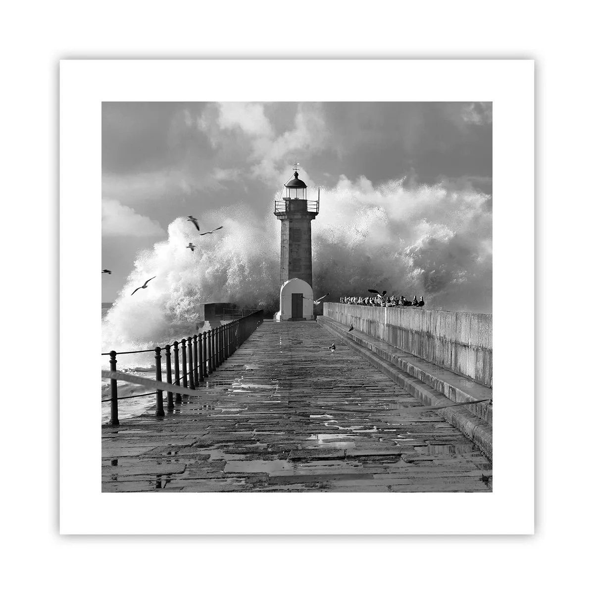 Poster - Senza paura - 40x40 cm