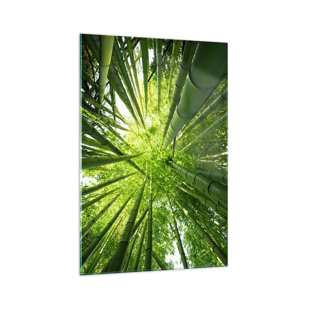 Quadro su vetro - Vista attraverso un boschetto di bambù verde - 70x100cm - Nella foresta di bambù - Decorazione murale moderna per soggiorno e camera da letto ARTTOR