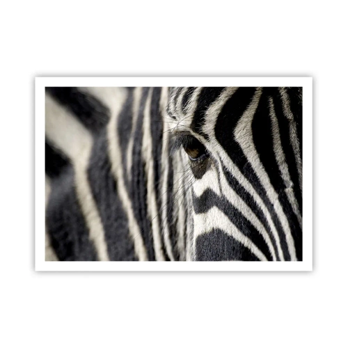 Poster - Primo piano dell'occhio di una zebra con strisce bianche e nere - 100x70cm - Ritratto a strisce - Decorazione murale moderna per soggiorno e camera da letto ARTTOR