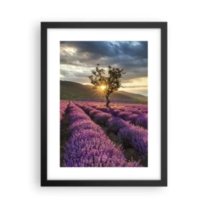 Poster in cornice nera - Aroma di colore lilla - 30x40 cm