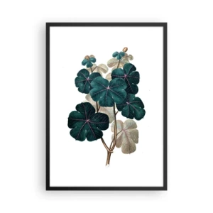Poster in cornice nera - Illustrazione botanica con foglie verde scuro su sfondo chiaro - 50x70cm - Dal vecchio erbario - Decorazione murale moderna per soggiorno e camera da letto ARTTOR