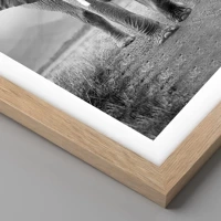 Rovere chiaro