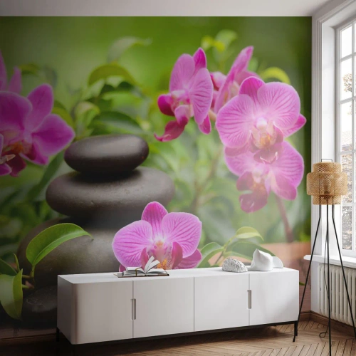 Fotomurali Autoadesivo Deluxe Sticker - Piramide di pace - Fiori, Orchidea, Orchidea - 150x105 cm