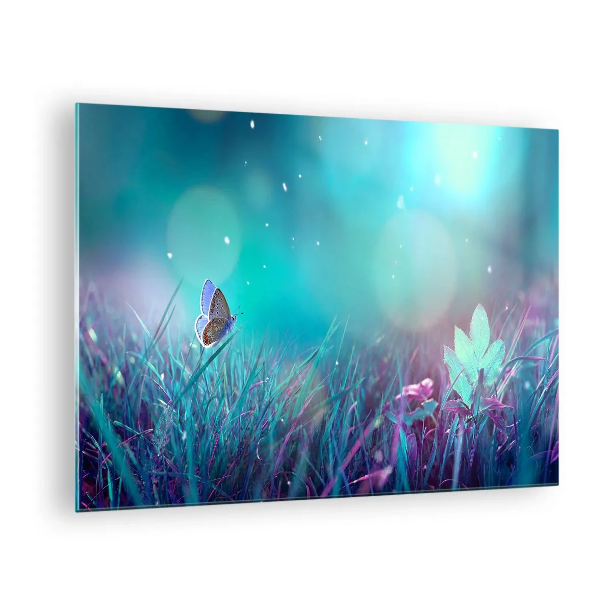 Quadro su vetro - Farfalla sull'erba in luce pastello - 70x50cm - La vita segreta del prato - Decorazione murale moderna per soggiorno e camera da letto ARTTOR