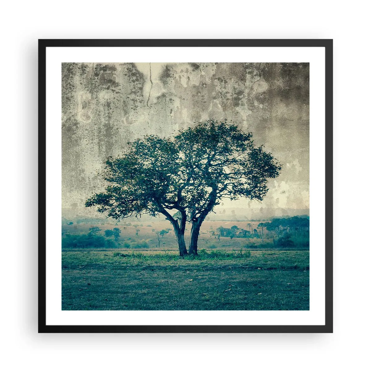 Poster in cornice nera - Un melo su un prato blu? - 60x60 cm