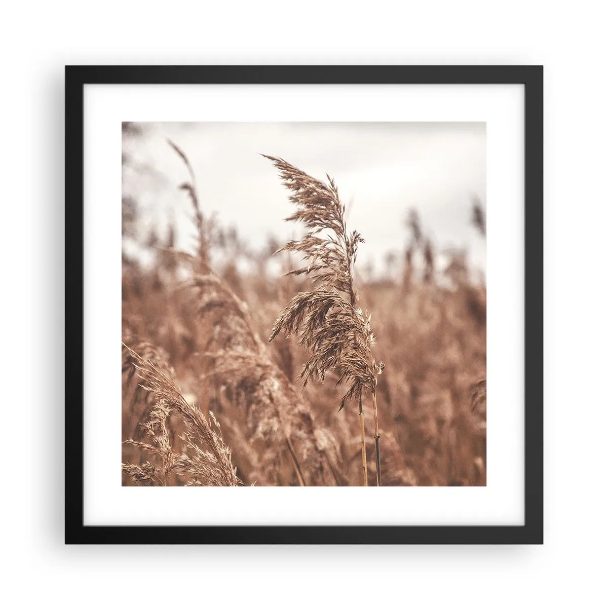 Poster in cornice nera - Nei campi è già autunno - 40x40 cm