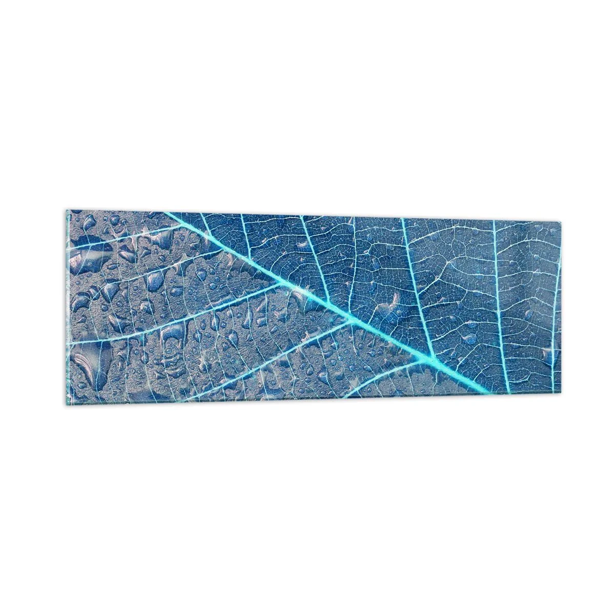 Quadro su vetro - Vita nel blu - 90x30 cm