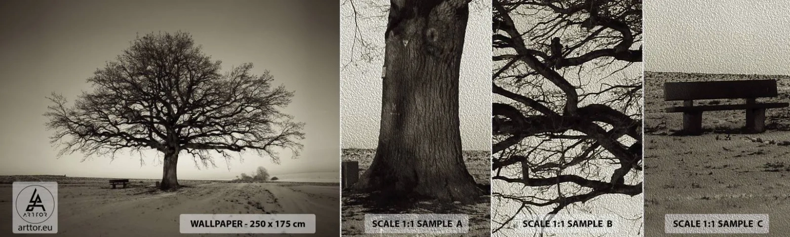 Campione di Fotomurale Premium Sand - Da qui all'eternità - Paesaggio, Albero, Natura - 100x30 cm
