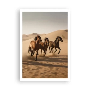 Poster - Liberi come il vento - 70x100 cm