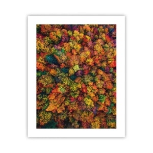 Poster - Il bouquet degli alberi d'autunno - 40x50 cm