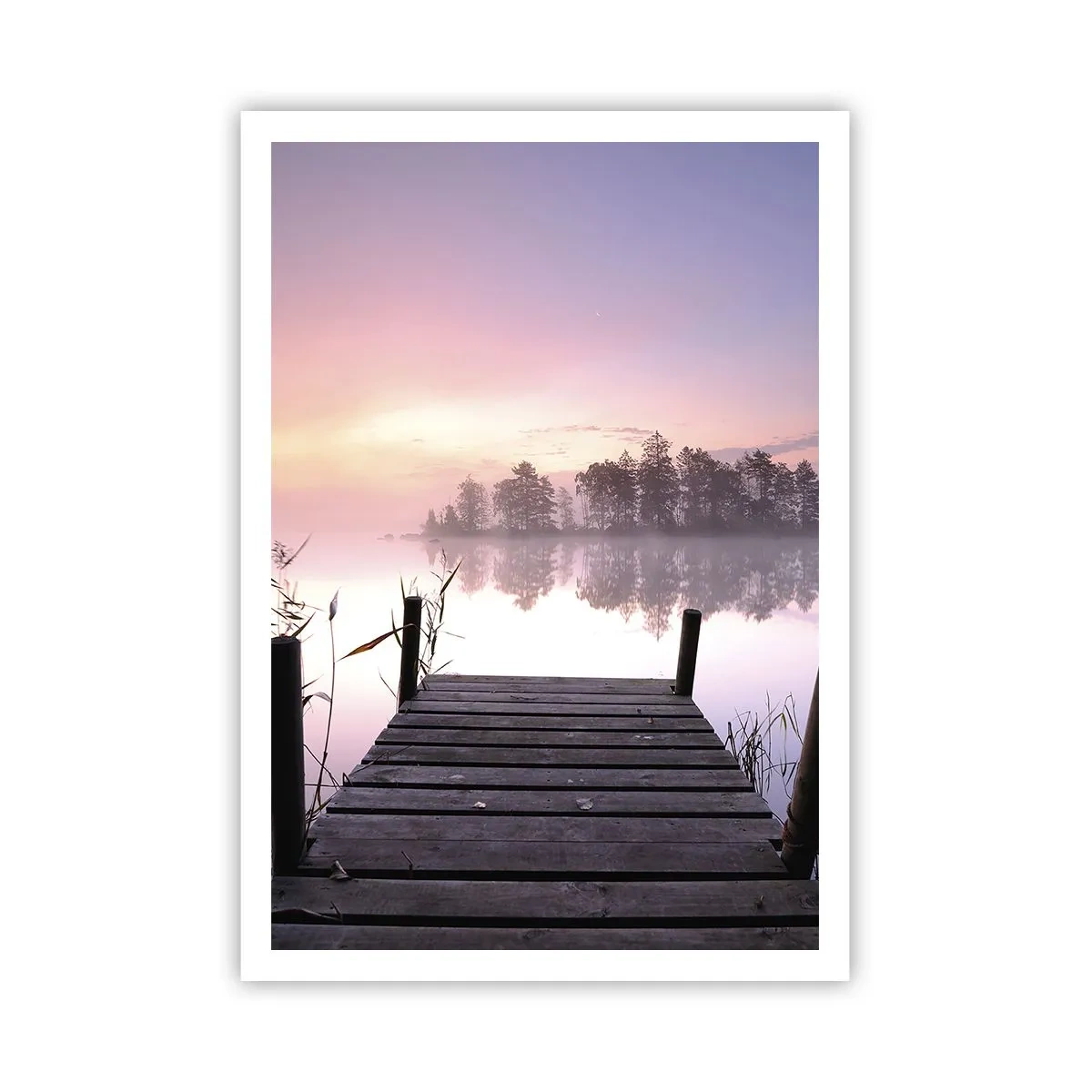 Poster - Nebbia color lilla - 70x100 cm