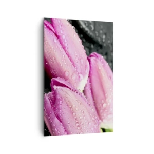 Quadro su tela - Stampe su Tela - Tre tulipani rosa con gocce d'acqua su sfondo nero - 80x120cm - Una terna lilla su pietra nera - Decorazione murale moderna per soggiorno e camera da letto ARTTOR