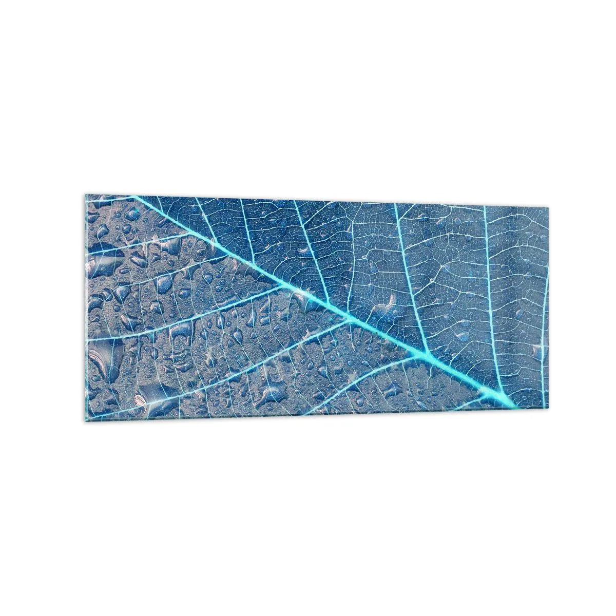 Quadro su vetro - Una foglia nei toni del blu con gocce d'acqua - 120x50cm - Vita nel blu - Decorazione murale moderna per soggiorno e camera da letto ARTTOR