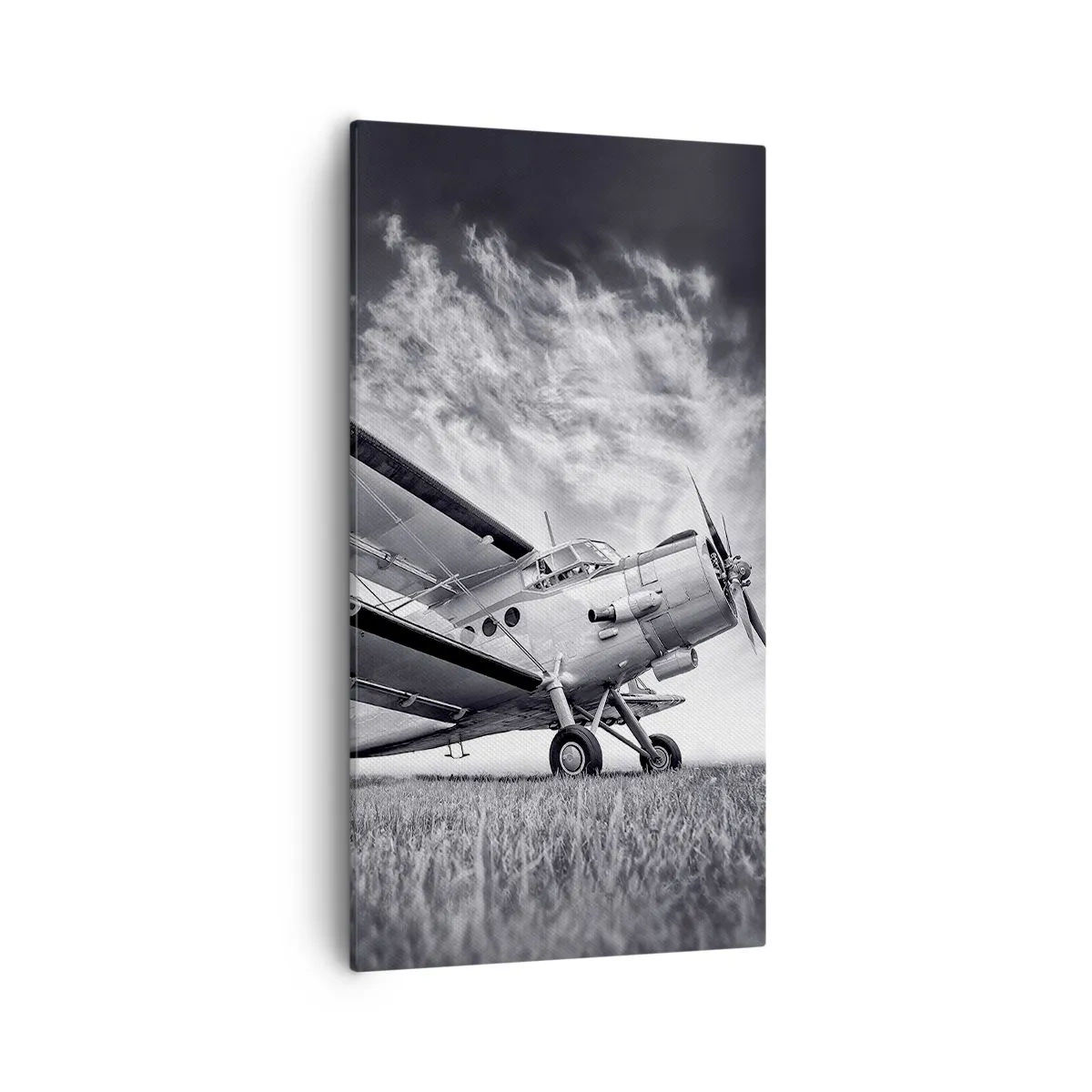 Quadro su tela - Stampe su Tela - Giramondo alato - 55x100 cm