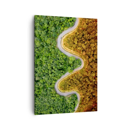 Quadro su tela - Stampe su Tela - Una strada tortuosa attraverso la foresta vista da una prospettiva a volo d'uccello - 50x70cm - Confine e separazione - Decorazione murale moderna per soggiorno e camera da letto ARTTOR