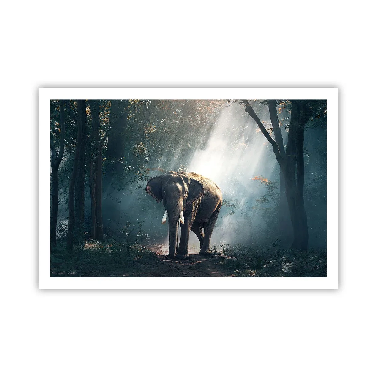 Poster - Tranquilla passeggiata - 91x61 cm