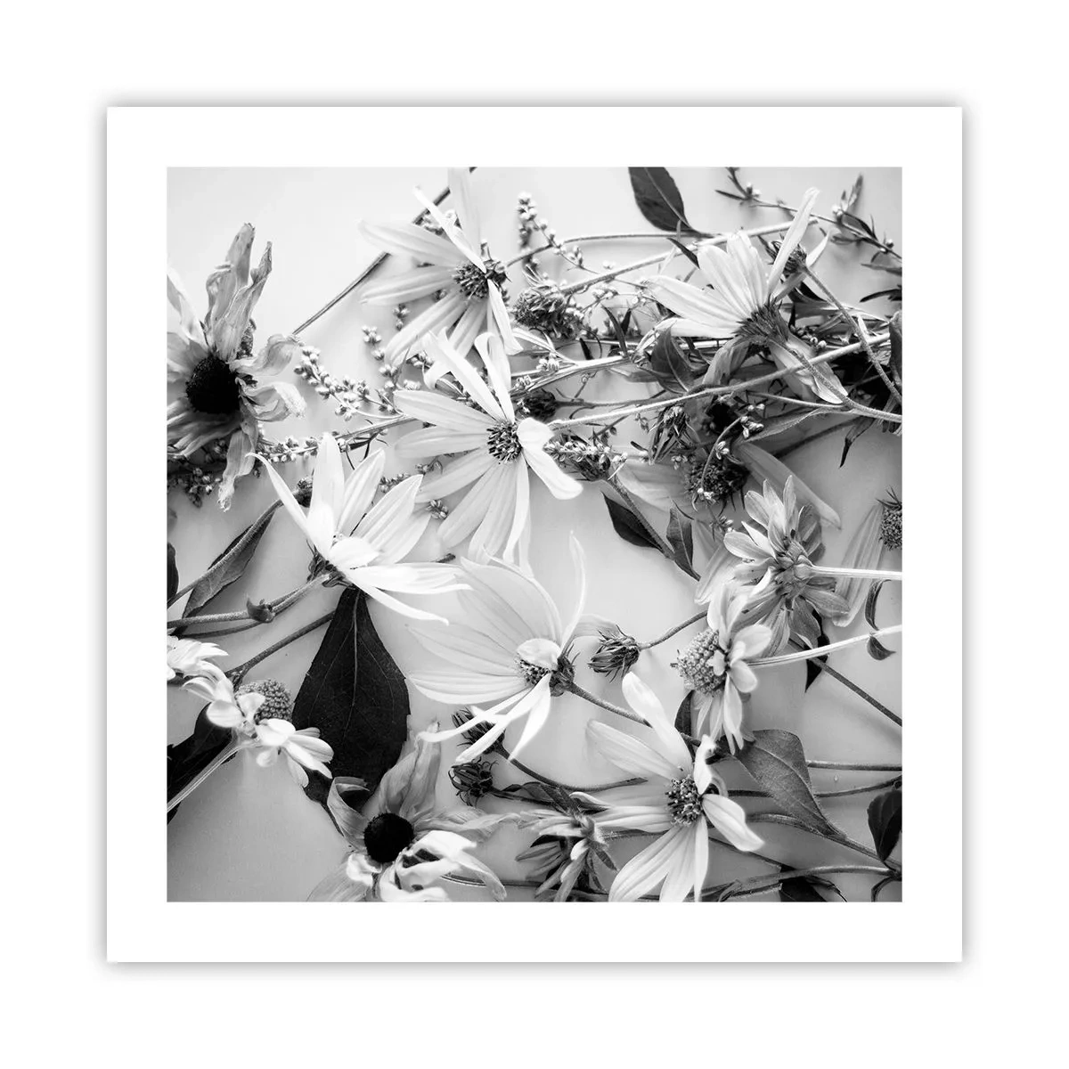 Poster - Un non bouquet di fiori - 50x50 cm