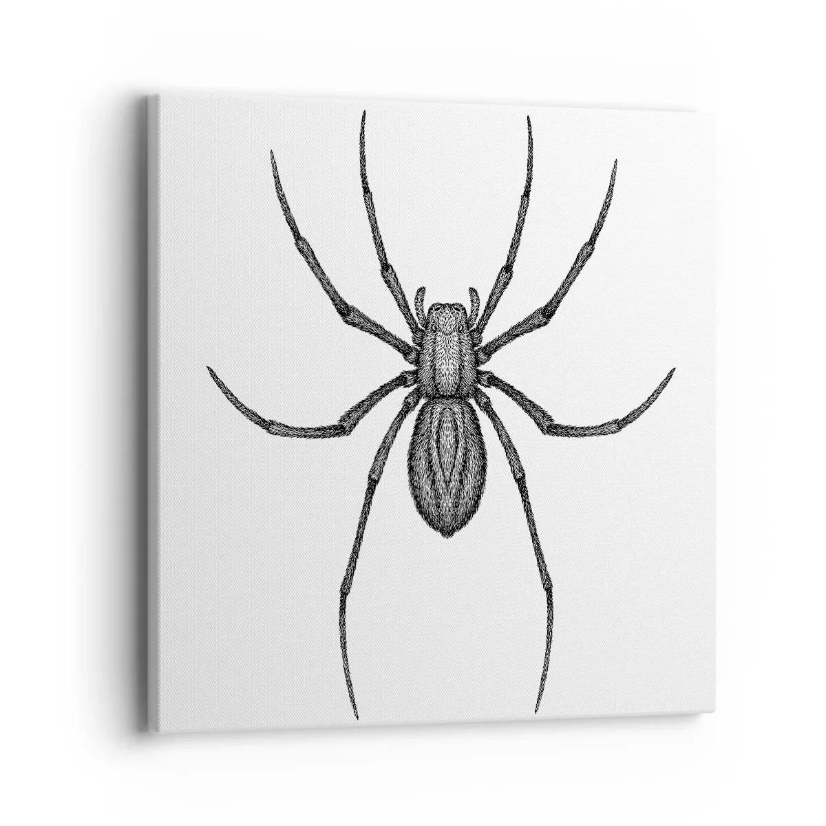 Quadro su tela - Stampe su Tela - Precisione inquietante - 40x40 cm