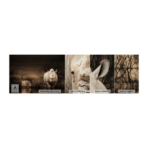 Campione di Fotomurale Premium Canvas - Bianco contro la natura - Rinoceronte, Animali, Africa - 100x30 cm
