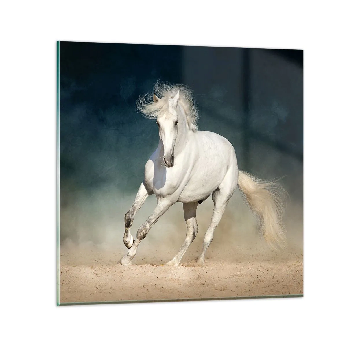 Quadro su vetro - Libertà allo stato puro - 30x30 cm