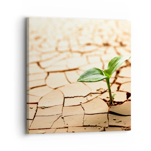 Quadro su tela - Stampe su Tela - L'indomita forza della vita - 30x30 cm