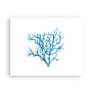 Poster - Filigrana marina - 50x40 cm