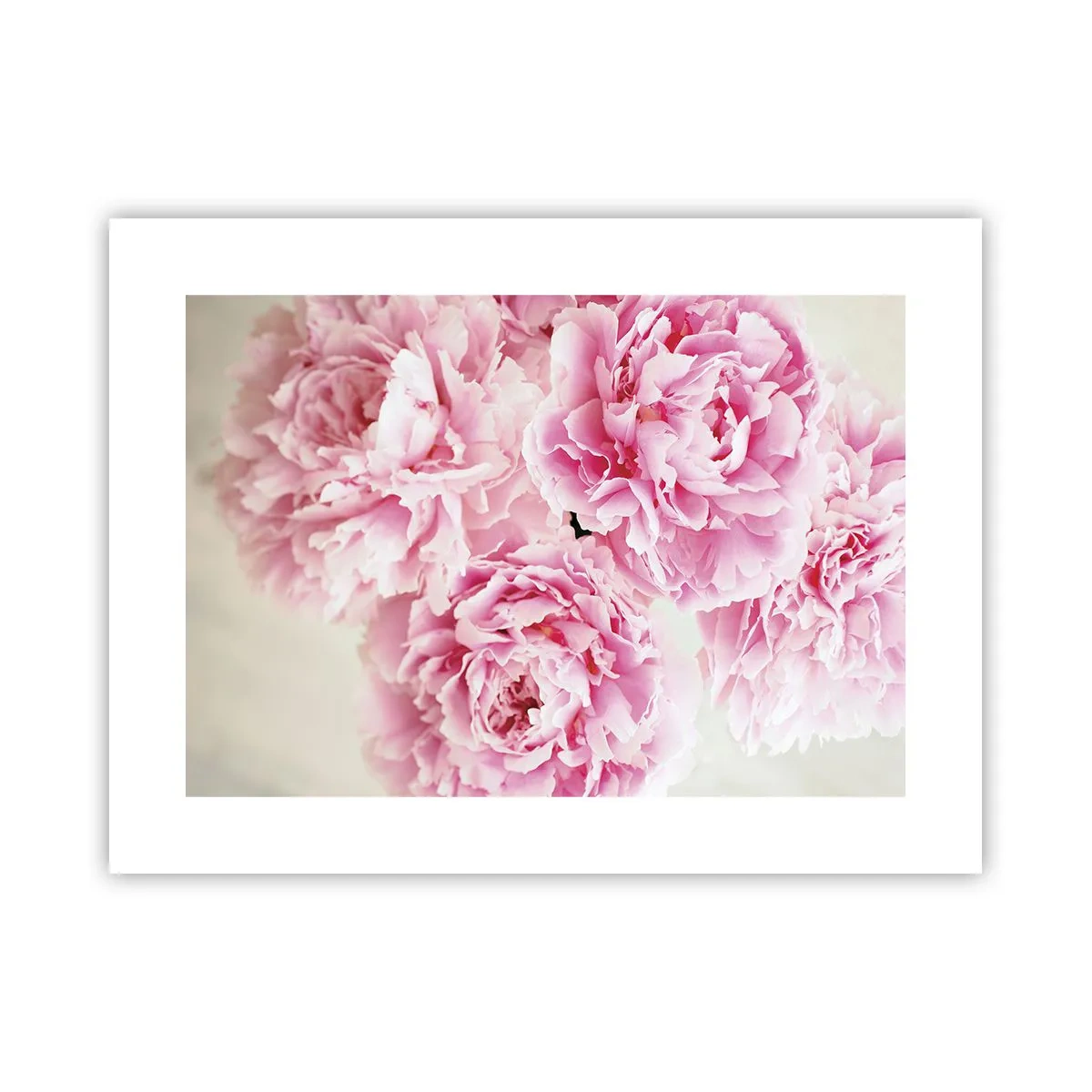 Poster - Nel fasto rosa - 40x30 cm