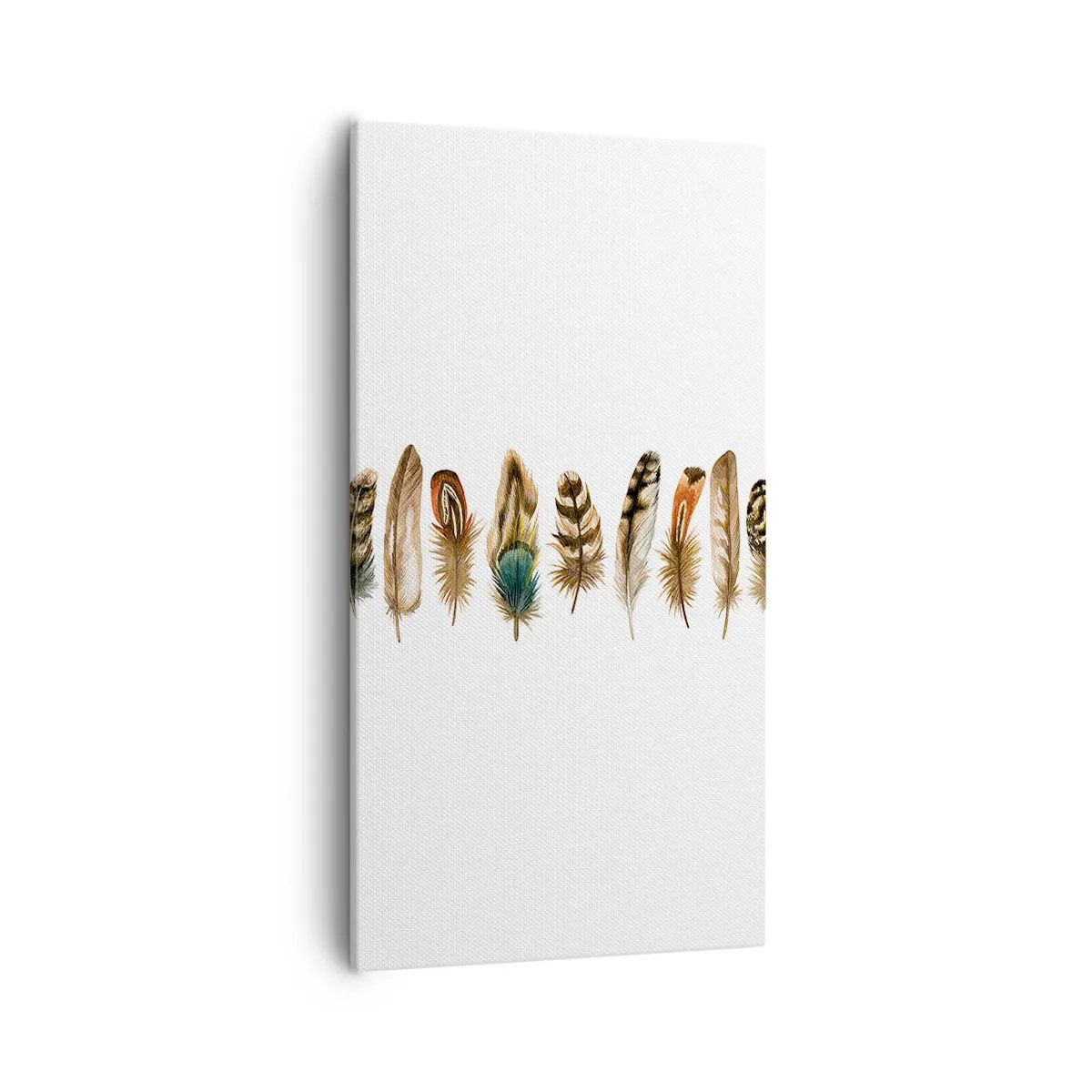 Quadro su tela - Stampe su Tela - Composizione di piume - 55x100 cm