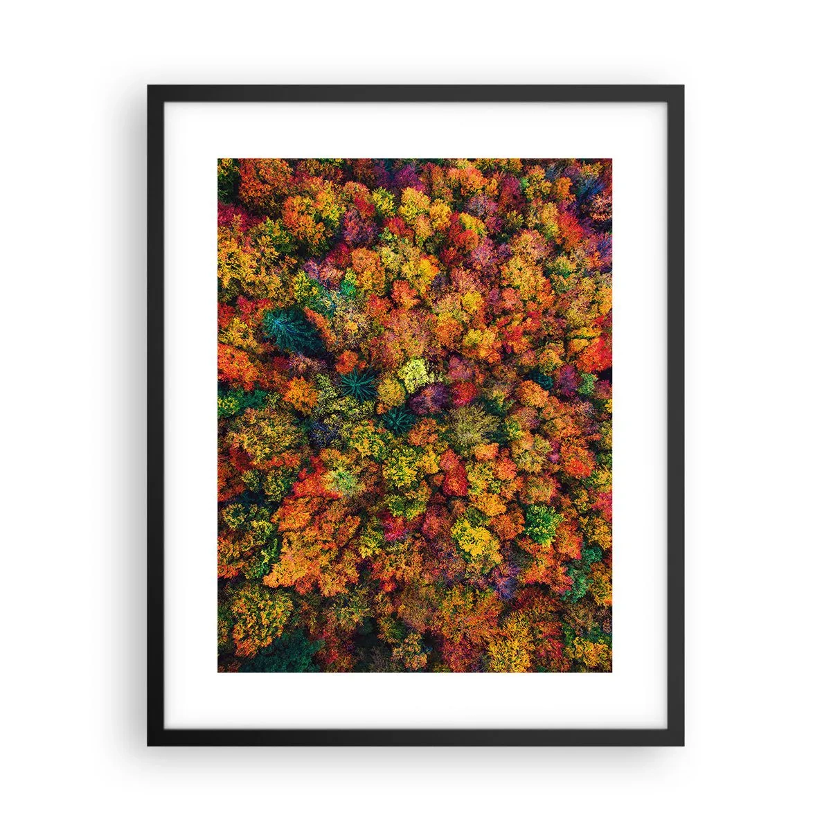 Poster in cornice nera - Il bouquet degli alberi d'autunno - 40x50 cm
