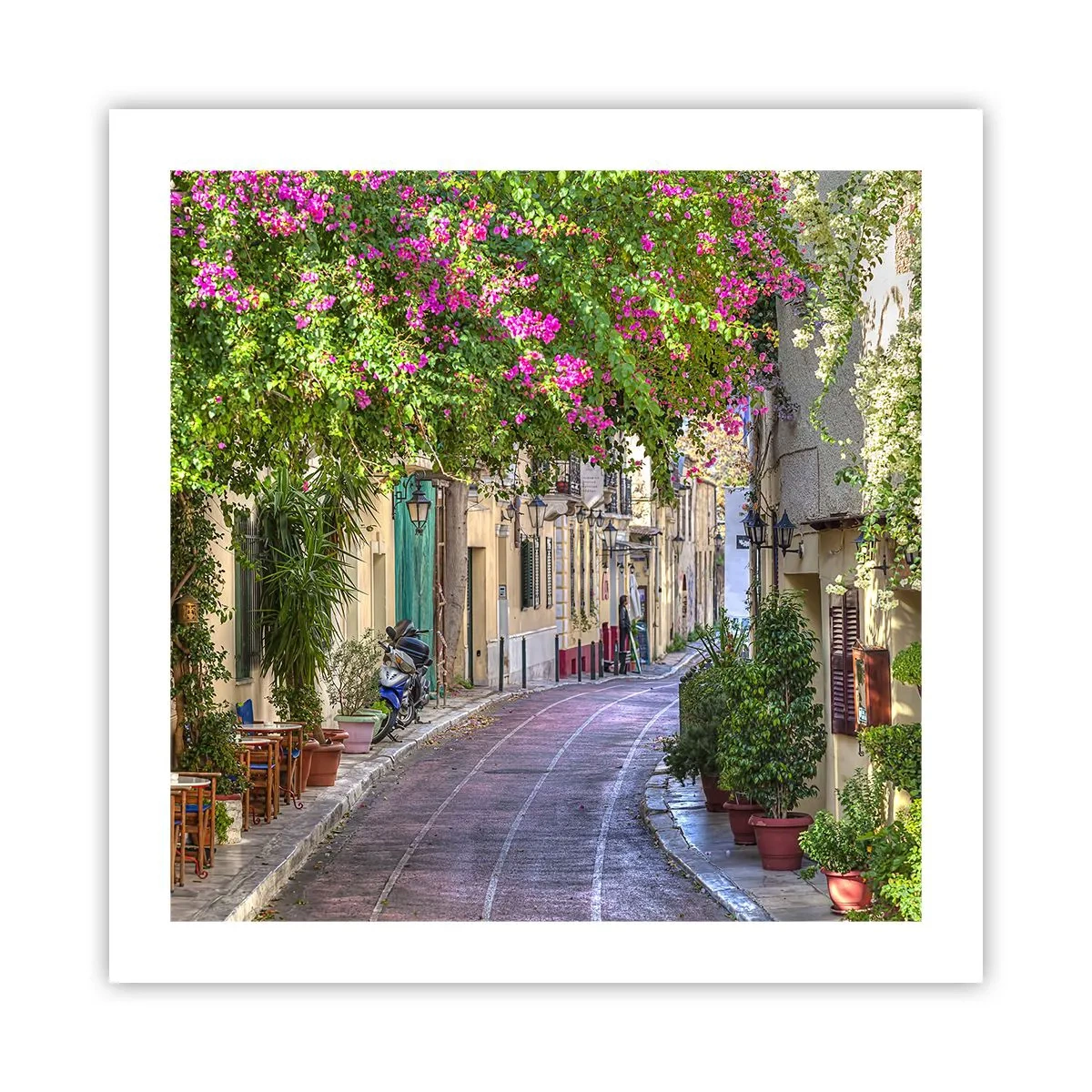 Poster - Angolo fiorito - 50x50 cm