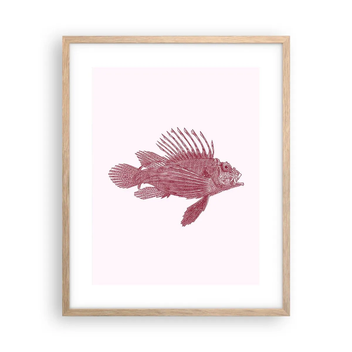 Poster in cornice rovere chiaro - Abitante di mari esotici - 40x50 cm
