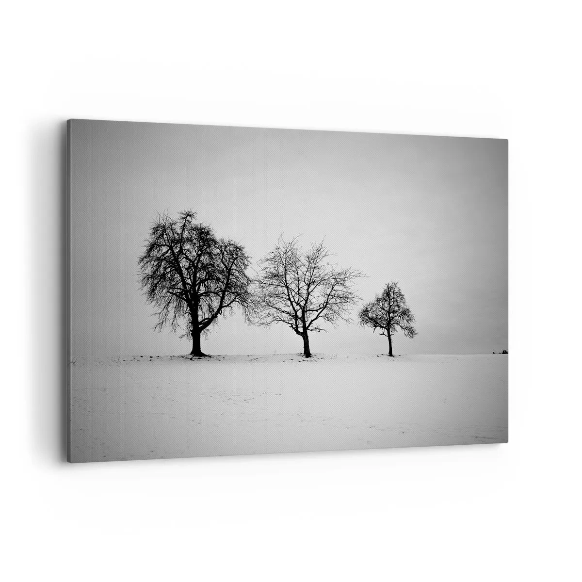 Quadro su tela - Stampe su Tela - Tre alberi in un campo innevato in stile monocromatico - 100x70cm - Cosa sognano? - Decorazione murale moderna per soggiorno e camera da letto ARTTOR