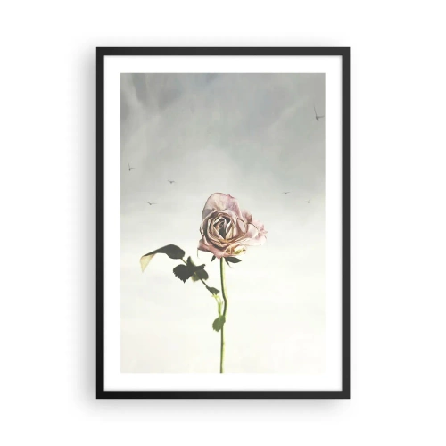 Poster in cornice nera - Una rosa sottile contro un cielo delicato - 50x70cm - Il benvenuto alla primavera - Decorazione murale moderna per soggiorno e camera da letto ARTTOR
