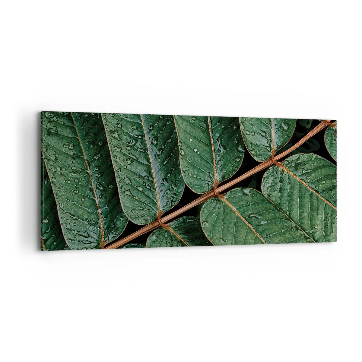 Quadro su tela - Stampe su Tela - Macro di foglie verdi con gocce di rugiada - 120x50cm - Al ritmo verde - Decorazione murale moderna per soggiorno e camera da letto ARTTOR