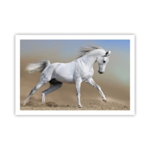 Poster - La più bella favola araba - 91x61 cm