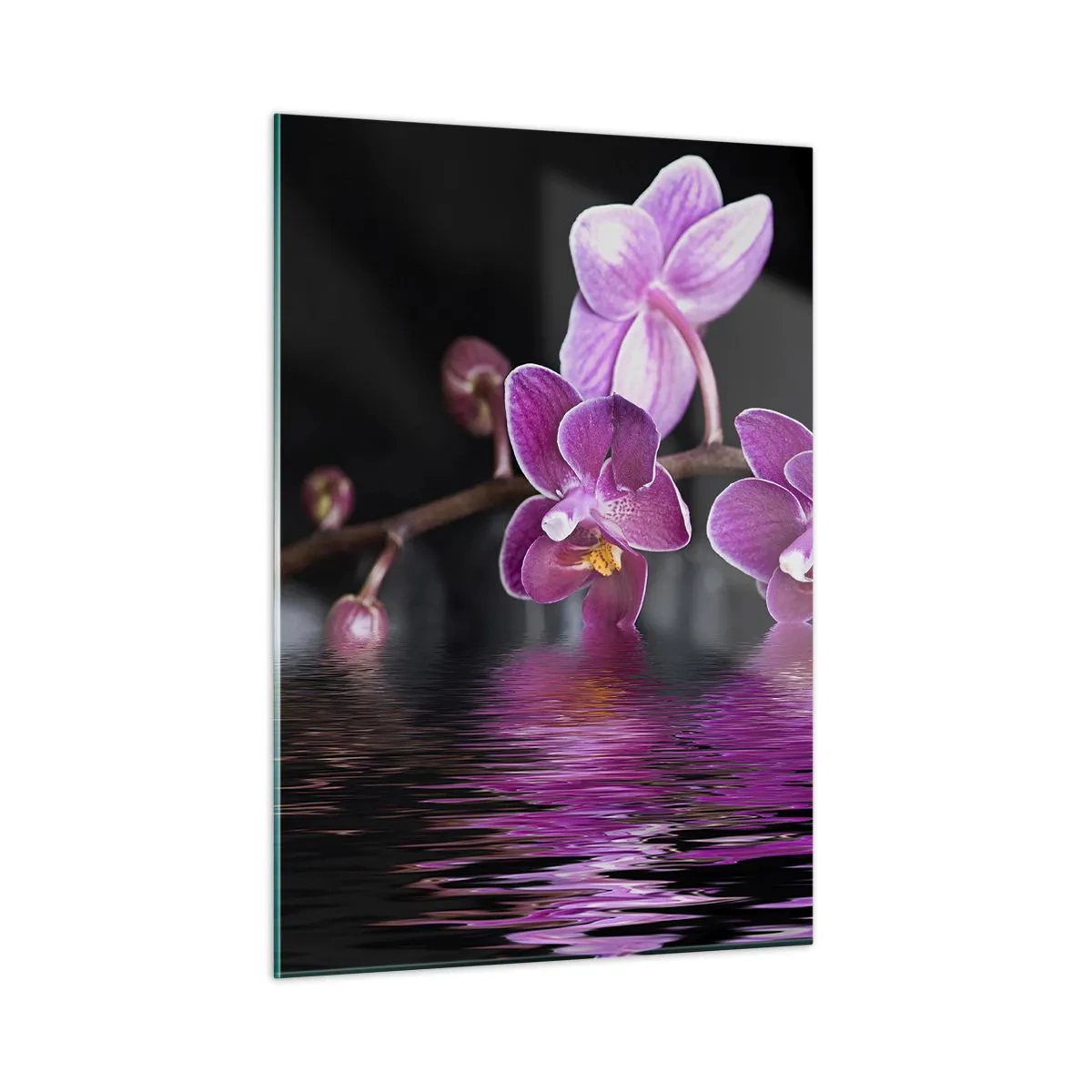 Quadro su vetro - Orchidee viola riflesse nell'acqua - 50x70cm - La bellezza riflessa dai gigli - Decorazione murale moderna per soggiorno e camera da letto ARTTOR